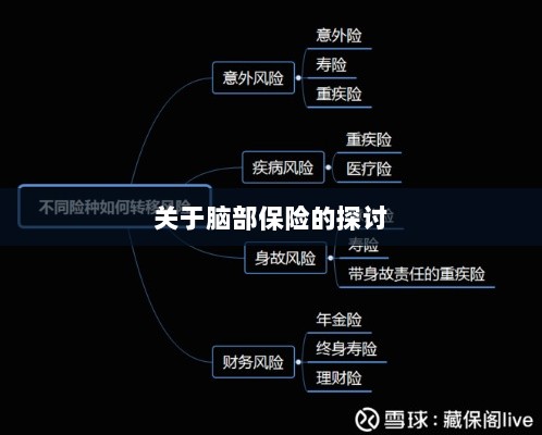 脑部保险,深度探讨与解析-图1 脑部保险,深度探讨与解析-图1