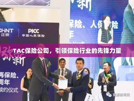 TAC保险公司，引领保险行业的先锋典范-图1