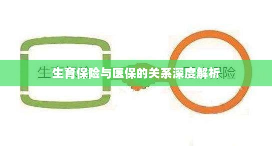 生育保险与医保关系的深度探讨-图1 生育保险与医保关系的深度探讨-图1