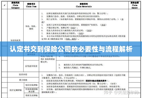认定书交到保险公司的必要性与流程深度解析-图1