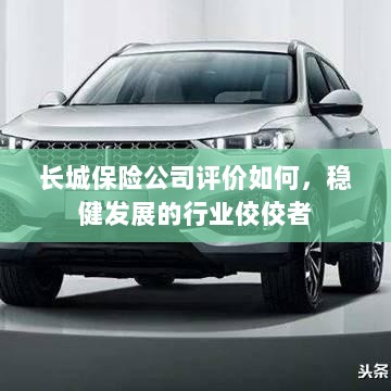 长城保险公司评价积极，行业稳健发展的佼佼者-图1