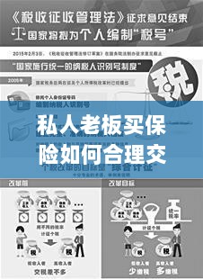 私人老板如何合理购买保险并交税指南-图1