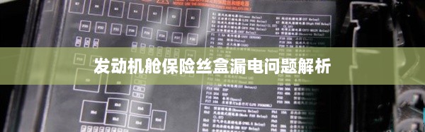 发动机舱保险丝盒漏电问题深度解析-图1