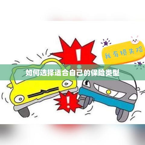 如何选择适合自己的保险类型，投保指南与策略建议-图1