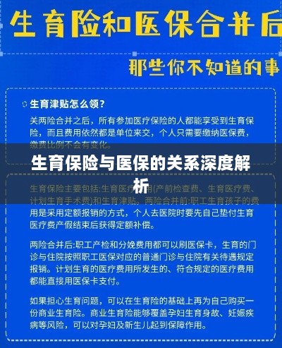 生育保险与医保关系的深度探讨-图1