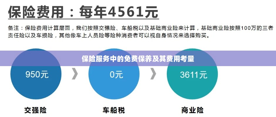 保险服务中的免费保养费用深度解析-图1