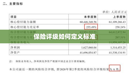 保险评级标准定义解析-图1