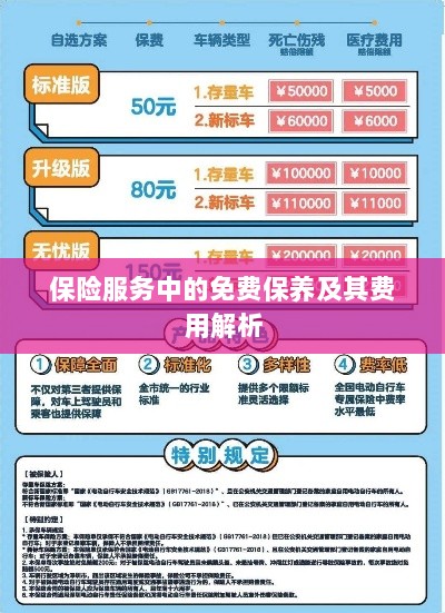 保险服务中的免费保养费用解析与指南-图1