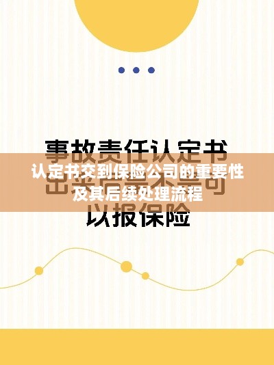 认定书对保险公司的重要性及后续处理流程详解-图1