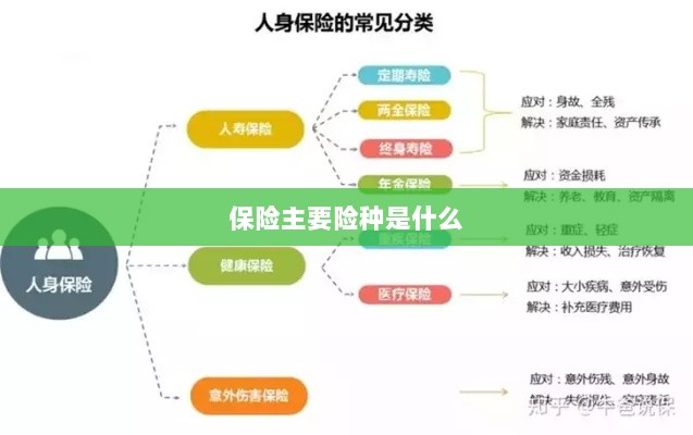 保险主要险种简介与概述-图1