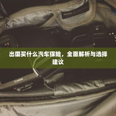 全面解析与选择建议,出国应购买哪些汽车保险?-图1 全面解析与选择建议,出国应购买哪些汽车保险?-图1