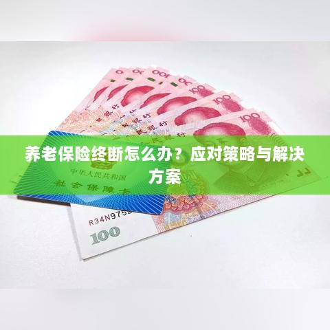 养老保险中断应对指南,解决方案与策略探讨-图1 养老保险中断应对指南,解决方案与策略探讨-图1