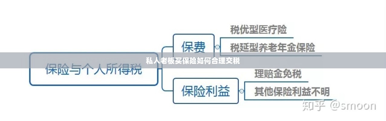 私人老板如何合理购买保险并交税指南-图1 私人老板如何合理购买保险并交税指南-图1