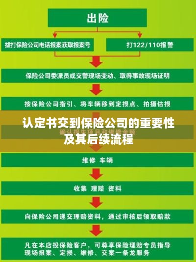 认定书对保险公司的重要性及后续流程详解-图1