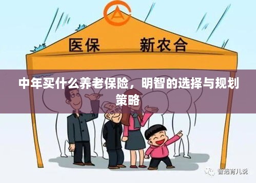 中年明智之选，养老保险的规划与策略-图1