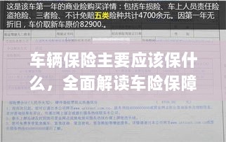 全面解读车辆保险保障内容,保障重点及选择建议-图1 全面解读车辆保险保障内容,保障重点及选择建议-图1