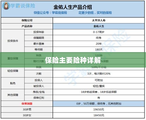 保险主要险种详解概览-图1 保险主要险种详解概览-图1