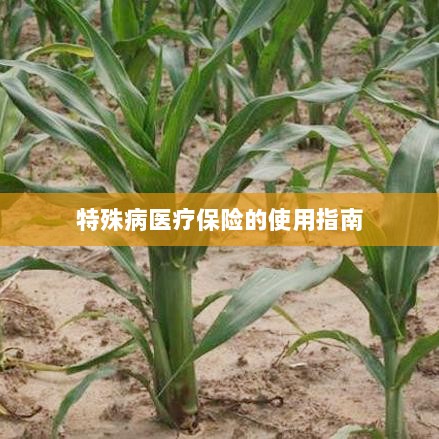 特殊病医疗保险使用指南详解-图1 特殊病医疗保险使用指南详解-图1