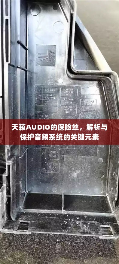 天籁AUDIO保险丝,解析与音频系统保护的关键要素-图1 天籁AUDIO保险丝,解析与音频系统保护的关键要素-图1