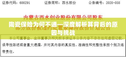 陶瓷保险为何不通,深度探究背后的原因与挑战-图1 陶瓷保险为何不通,深度探究背后的原因与挑战-图1