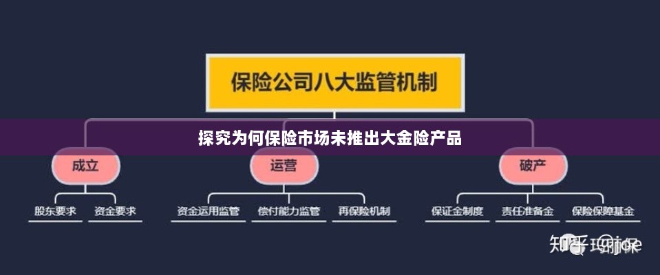 保险市场为何未推出大金险产品探究-图1 保险市场为何未推出大金险产品探究-图1