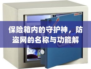 保险箱守护神与防盗网功能解析，名称与实用指南-图1