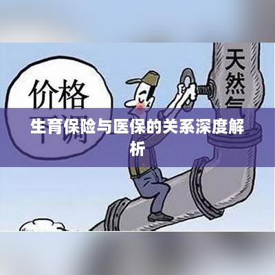 生育保险与医保关系的深度探讨-图1