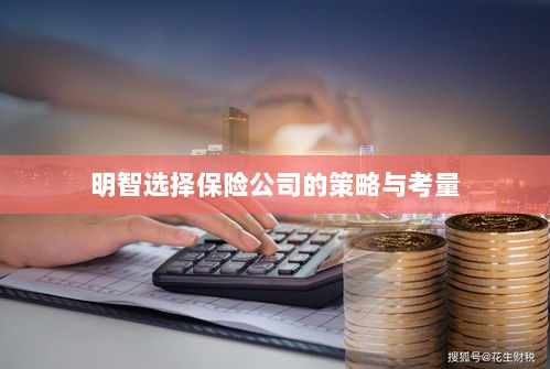 明智选择保险公司的策略与考量指南-图1 明智选择保险公司的策略与考量指南-图1