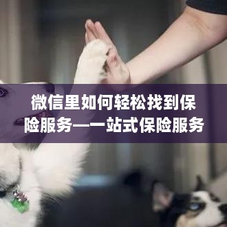 微信内轻松获取一站式保险服务指南,如何找到保险服务?-图1 微信内轻松获取一站式保险服务指南,如何找到保险服务?-图1