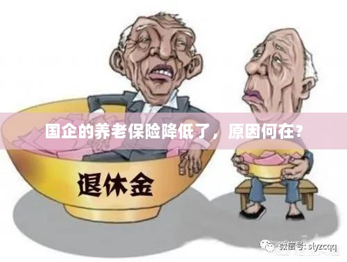 国企养老保险降低的原因探究-图1