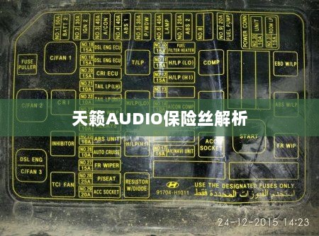 天籁AUDIO保险丝详解-图1 天籁AUDIO保险丝详解-图1