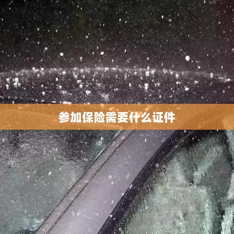 参加保险所需证件概览-图1 参加保险所需证件概览-图1