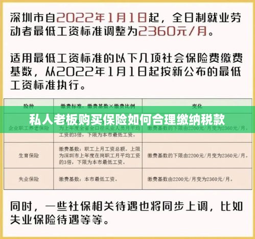 私人老板购买保险如何合理缴税,策略与指南-图1 私人老板购买保险如何合理缴税,策略与指南-图1