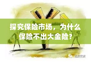 探究保险市场,为何缺乏大额保险金险种?-图1 探究保险市场,为何缺乏大额保险金险种?-图1