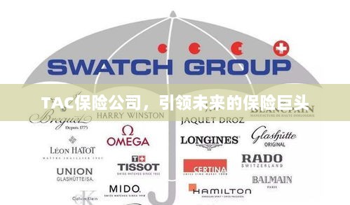 TAC保险公司，引领保险行业未来巨头之路-图1