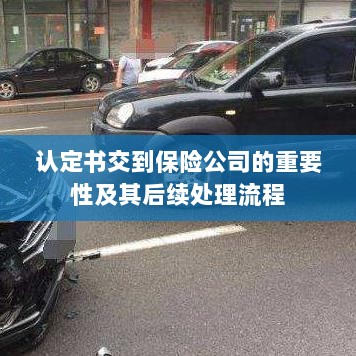 认定书对保险公司的重要性及后续处理流程详解-图1