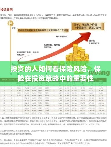 投资人的保险风险洞察，保险在投资策略中的核心重要性-图1