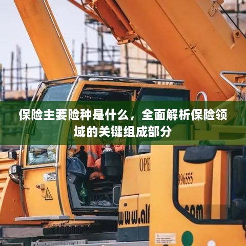全面解析保险领域关键组成部分,主要险种介绍与解析-图1 全面解析保险领域关键组成部分,主要险种介绍与解析-图1