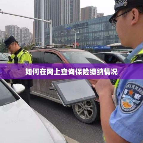 网上查询保险缴纳情况攻略-图1 网上查询保险缴纳情况攻略-图1