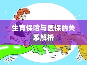 生育保险与医保关系深度解析-图1 生育保险与医保关系深度解析-图1
