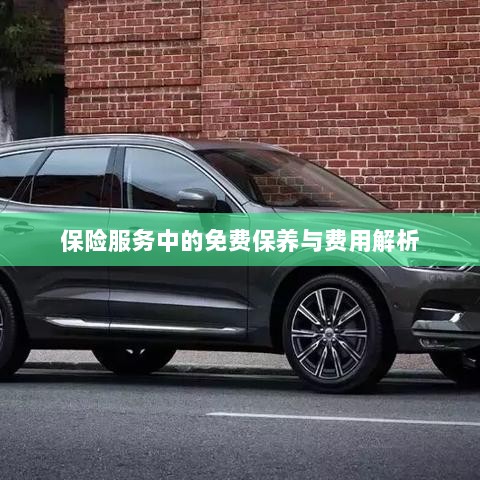 保险服务中的免费保养与费用详解解析-图1