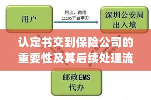 认定书对保险公司的重要性及后续处理流程详解-图1