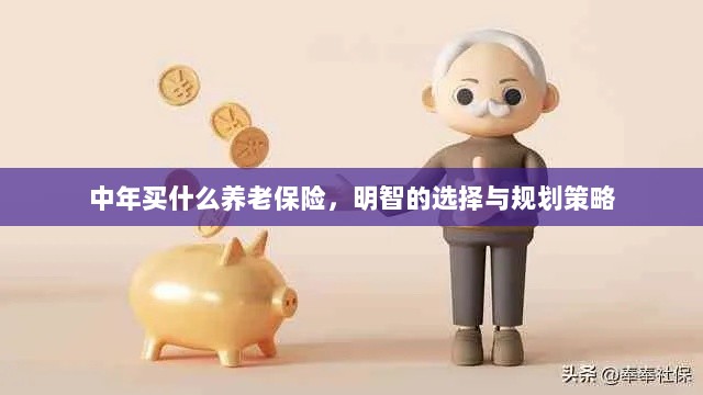 中年明智之选,养老保险的规划与策略-图1 中年明智之选,养老保险的规划与策略-图1