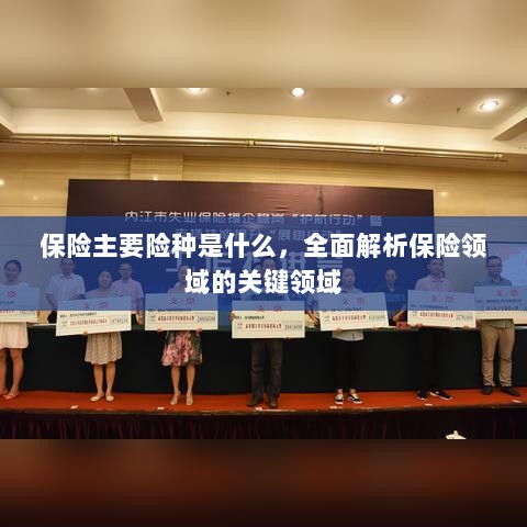 全面解析保险领域关键领域，主要险种介绍与概述-图1