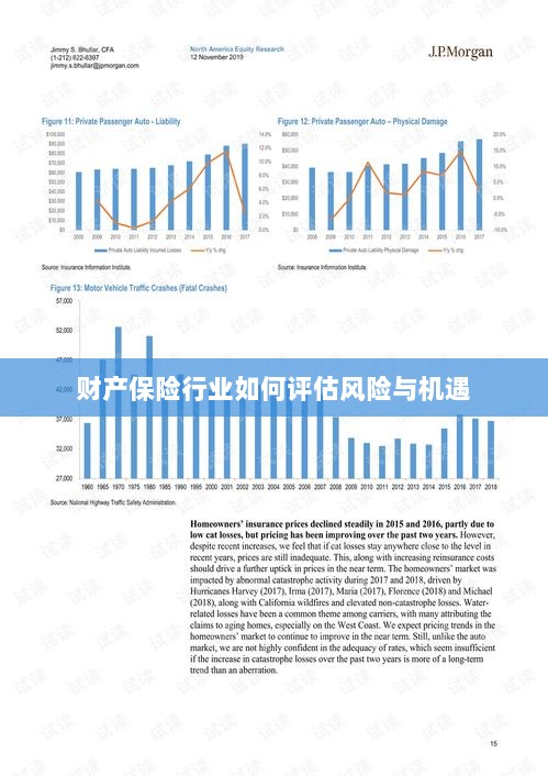 财产保险行业风险与机遇的评估策略-图1