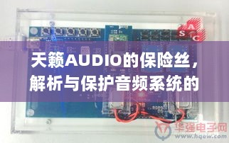 天籁AUDIO保险丝,解析与音频系统保护的关键要素-图1 天籁AUDIO保险丝,解析与音频系统保护的关键要素-图1