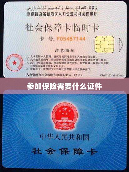参加保险所需证件概览-图1