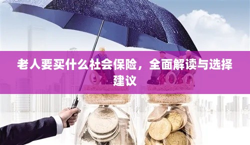 全面解读与选择建议,老年人应购买的社会保险种类解析-图1 全面解读与选择建议,老年人应购买的社会保险种类解析-图1