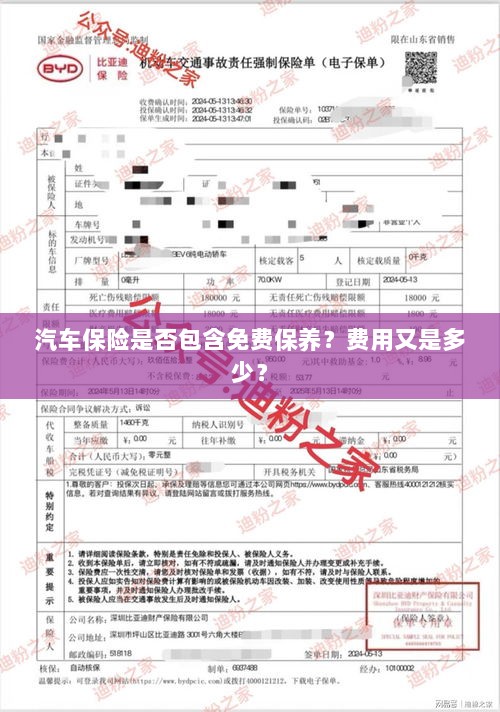 汽车保险中的免费保养与费用详解-图1 汽车保险中的免费保养与费用详解-图1