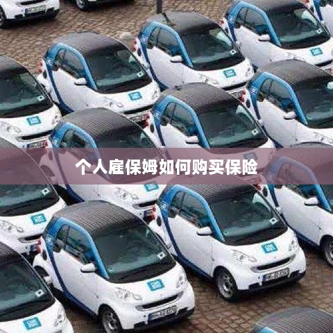 个人雇保姆保险购买指南-图1 个人雇保姆保险购买指南-图1